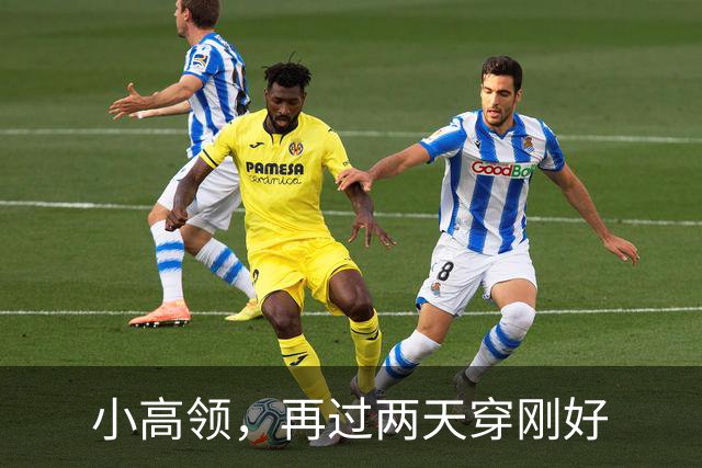 小高领，再过两天穿刚好