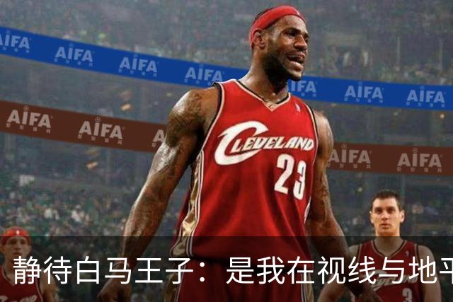 静待白马王子：是我在视线与地平线之间为你留出的可调节焦距